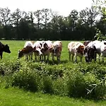 De Noteboom 6-persoons, Verwarmd Prive Zwembad, Hottub, Overdekte Lounge Met Haard, Panorama Sauna, Sunshower, Luxe, Wifi